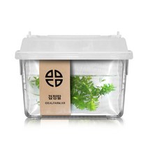 검정말 관찰세트 자연 초등교과 수생식물_봄상품 - 2023968EA, 본상품선택
