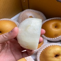 탱크 황금 배 3kg (6~7과)