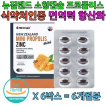 노인 시니어 면역력 프로폴리스 아연 환절기 영양제 플라보노이드 항산화 항산화제 보조제 항노화 활성산소 제거 필수 면역 기능 정상화 propolis 홈쇼핑 집들이 목사님 명절 건강 선물