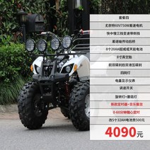 오토바이 소형 네발바이크 ATV 짐운반 사륜바이크 레저용 농업용 4륜구동 산악, 패키지 4/스퀘어 렌탈