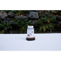분 100g(북촌 단청 무기세라믹안료)