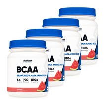 BCAA 파우더 90회분 수박맛 4병, 단품, 단품