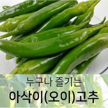 누구나 즐기는 아삭이(오이)고추 특 10kg, 1박스