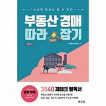 부동산 경매 따라잡기 소심 - 이재범, 단품, 단품
