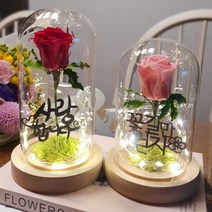 프리저브드 토퍼 장미유리돔 무드등 부모님 연인 프로포즈 졸업 기념일 집들이 인테리어용 선물, L, 체리레드, 09.꽃길만걷자