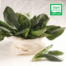 농사꾼아내 무농약 친환경 시금치 200g/400g/1kg, 무농약 시금치 1kg