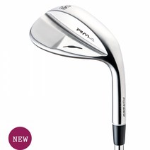 포틴 RM-4 웨지 남성용 성화스포츠, NS PRO 950 HT WEDGE, 46