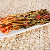 대전 원조 조풍연실비김치 매운 파김치 500g, 1팩