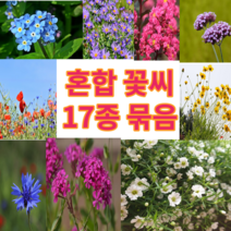 혼합 꽃씨 야생화 17종 묶음 5~10평용 노지 월동 다년생 야생화 꽃씨 사계절 개화 꽃씨 서비스 씨앗 증정, 10