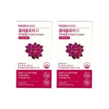 서현 빨간통다이어트 마시는 다이어트 보조제 하비탈출 푸드올로지 콜레올로지 티 8g x 15포 2박스, 콜레올로지티