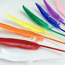 대원 거위깃털(대)-10색상, 주황