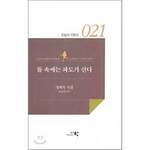 돌 속에는 파도가 산다, 시학