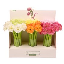 플라워 펜 스승의날 카네이션 볼펜 꽃 젤펜 타입B, 단품