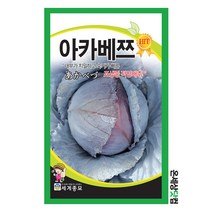 아카베쯔 2000립 / 웰빙채소 베란다텃밭 양배추씨앗 양배추씨 자색양배추 씨앗 적양배추씨앗