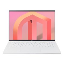 LG전자 그램 16ZD95Q-GX56K [768GB 16GB], Free DOS, 화이트, 768GB, 코어i5, 16GB