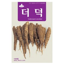 더덕씨앗 더덕씨 1500립 종자 키우기 재배