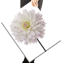 [당일 국내발송] 보석십자수 캔버스형 액자 세트 40x50cm, Q06모델