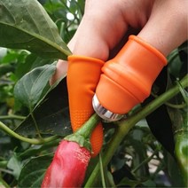 고추 골무 따기 수확 고추따는기계 손톱칼 텃밭 패소 야채 깻잎 체험 재배, 1개