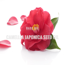 동백오일(정제) 100ml