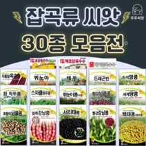 콩 옥수수 씨앗 강낭콩 작두콩 서리태 호랑이콩 종자 백태 땅콩 율무 녹두 팥 완두콩 씨, 25. 병아리콩 10g