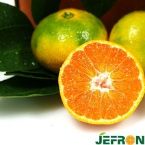 참다올 10/3부터 예약출고 제주 제철과일 수출하는 극조생 감귤 5kg (로얄과 2S