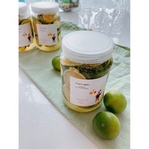 파파본과일수제청 제주청한라봉청500g 과일청청한라봉청 답례품250g 500g, 망고패션후르츠