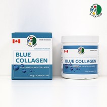저분자 콜라겐 분말 연어콜라겐 피쉬콜라겐 생선콜라겐 히알루론산 로열젤리 캐나다, 1통