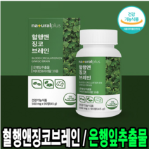 은행잎추출물 혈행 앤 징코 브레인 90정 기억력 혈행 개선 건강기능식품