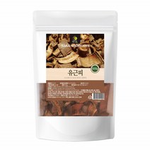 느릅나무 뿌리 껍질 유근피 나무 누릅나무 유근피차 느릅나무차 코나무 느릅나무물 느릅나무껍질차