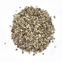 순둥이네화분 에이케이 베이지(0.5~0.8cm) 900g~1kg