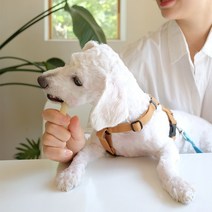 3개월강아지개껌 강아지양치 대형견개껌 뉴트리오 7종 껌, 1개, 밀크