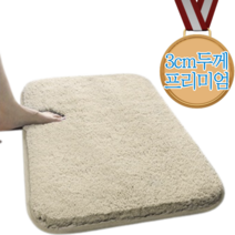 프리미엄 빨아쓰는 호텔발매트 4color, 베이지