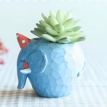 코끼리 다육이화분, 다육식물 추가