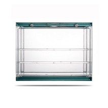 유리진열장 투명 아크릴 피규어 디스플레이 케이스 블라인드 박스 쇼케이스 스탠드 차고 키트 Collectible Model Art Crafts Doll Organizer 구스와이, 01 green
