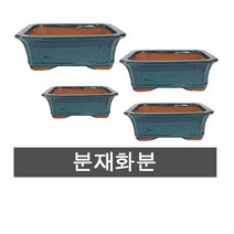 화분백화점 분재분 유약분 분재화분 도자기화분 수입 중국, SW3933