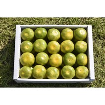 (예약판매받아요)제주 유라실생 하우스감귤 가정용 혼합과 5kg