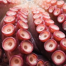 문어아빠 고성 피문어 자숙 삶은문어 (대문어 참문어), 20kg