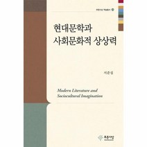 현대문학과 사회문화적 상상력 29 푸른사상 학술총서, 상품명