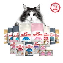 로얄캐닌 고양이 캣 400G 소용량, 샴400G