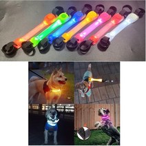 케어웰펫 반려동물 전용 실리콘 LED 야광목걸이 야광밴드, 그린