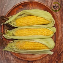 맛가득 프리미엄 초고당도 제주초당옥수수 해남 강원 찰옥수수, 초당옥수수 280~340g 10개, 최상품 초당옥수수 개수선택, 10개