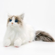 렉돌 고양이 피규어 진짜같은 고양이인형, 화이트 렉돌(의상 없음)