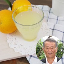 사그담 [산지직송]경남 진해 무농약 유자원액 500mlx2병, 단일옵션