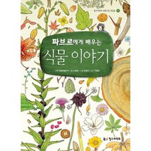 파브르에게 배우는 식물 이야기, 철수와영희