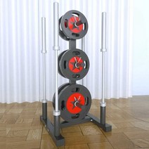원판정리대 홈트 중량 거치대 보관대 이동식 가정용, 2방향 원판 거치대, 1개