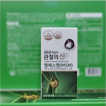 [1+1] 김오곤 관절의신 엠에스엠(MSM) 510mg x 90정