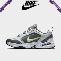 [미국정품] 903388 나이키 맨즈 에어 모나크 IV 415445-100
