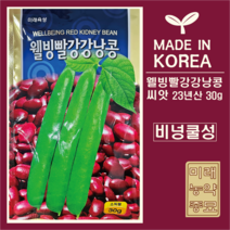 23년산 국산 빨강 강낭콩 씨앗 30g - 비넝쿨성
