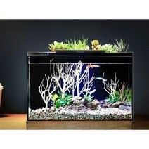 가정용 스마트어항 유리 수족관 생태 수조 LED 조명 터치 와이파이, Fish Tank + Love Dream 조경 팩