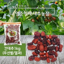 보은 건대추 열과무선별 못난이대추 (차 즙용) 1kg GAP인증농가 영준이네 대추농장